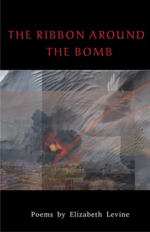 Ribbon Around Bomb Book Cover